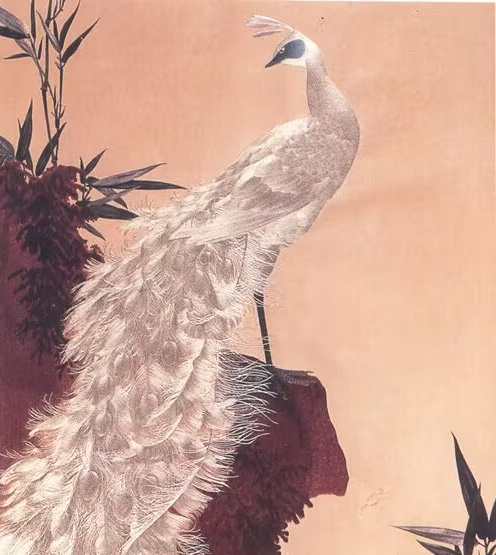 《白孔雀(局部)》-